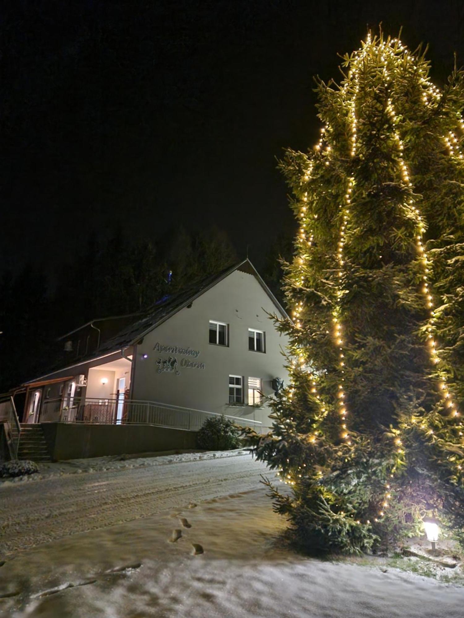 Obora Apartment Nova Bystrice